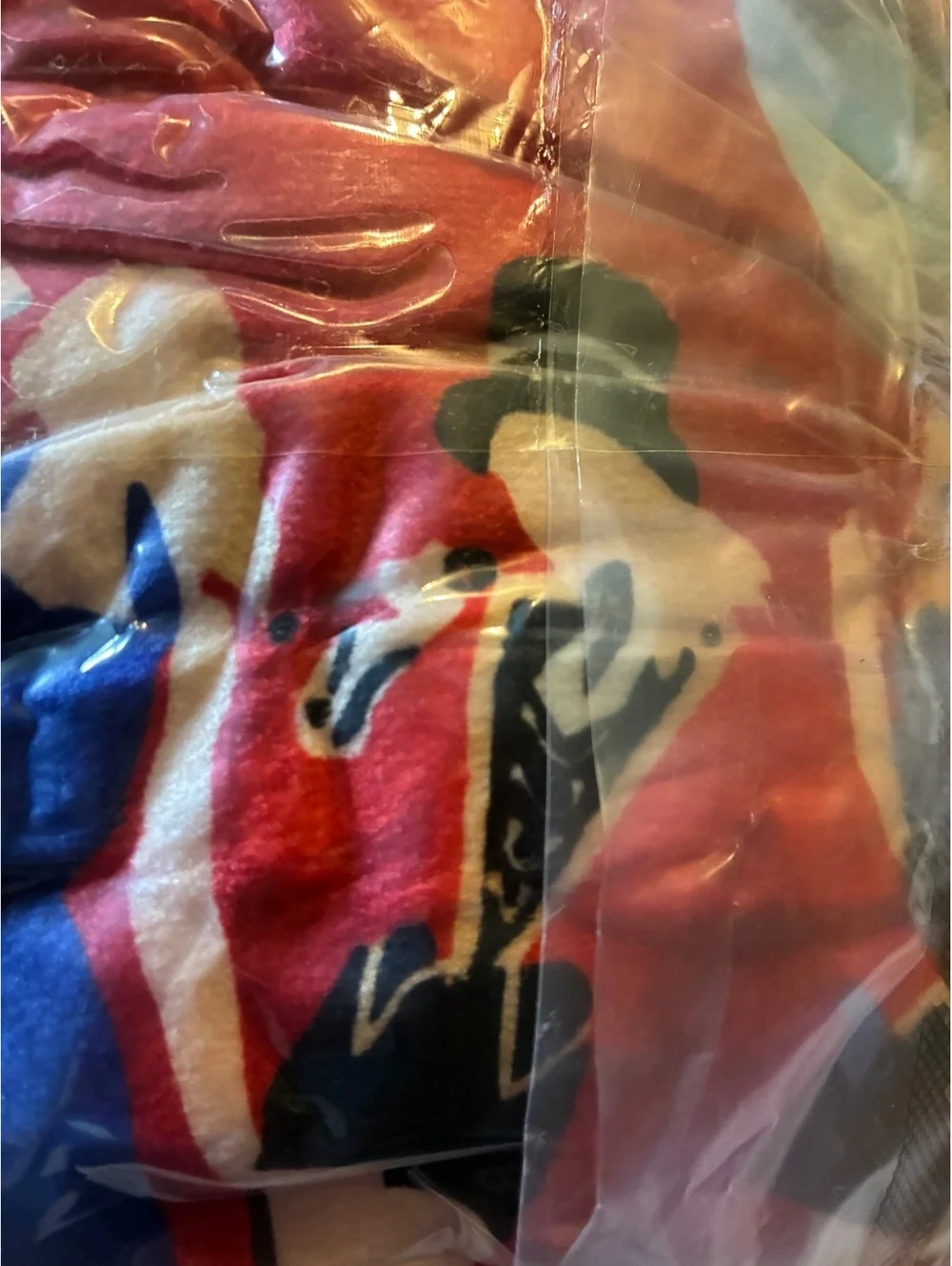 Taylor Swift / Swiftie / Eras Tour Inspired Fleece Blanket 50x60 NWT